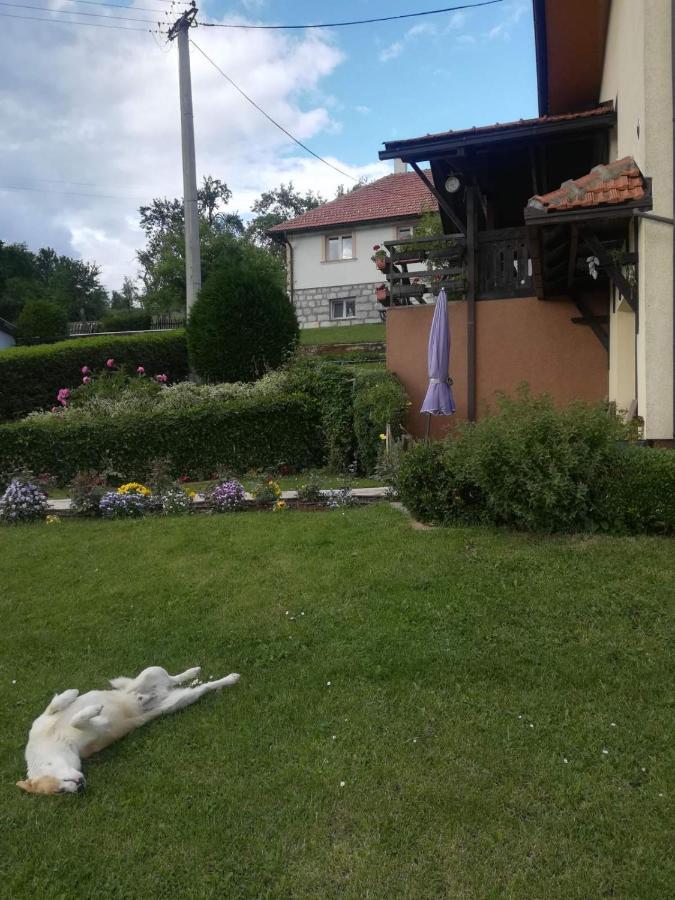 Kuca Maric Mackat Bed and Breakfast Exteriör bild